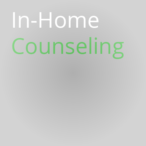 In-home Counseling In-home Counseling